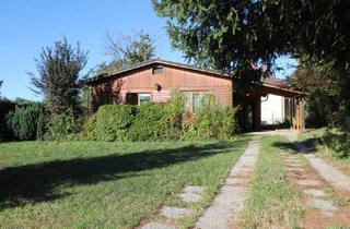 Haus kaufen in 3464 Hausleiten, "kleiner, feiner Bungalow!"