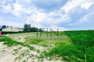 Grundstück zu kaufen in 2453 Sommerein, Großzügiges Baugrundstück mit Grünfläche in Sommerein zu verkaufen!