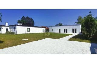 Haus kaufen in 2601 Sollenau, MODERNE KLARHEIT - SÜDSEITIGER GARTEN