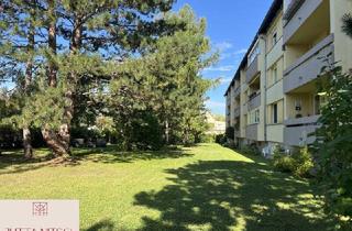 Wohnung mieten in 2500 Baden, Entzückende Singlewohnung mit Loggia - Ruhelage in Baden