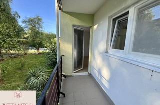 Wohnung mieten in 2340 Mödling, Ruhig gelegene Garconniere mit Balkon in HTL-Nähe - Mödling