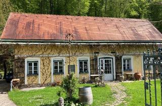 Loft mieten in 3021 Pressbaum, LOFTARTIGE WOHNUNG IM GRÜNEN NAHE DER WIENER STADTGRENZE