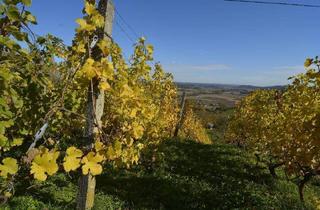 Gewerbeimmobilie kaufen in 8280 Fürstenfeld, Buschenschank mit Aussicht – 8.878 m² Grundstück in Weinlage! VB € 330.000