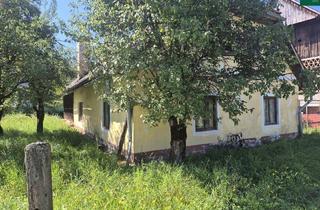 Bauernhäuser zu kaufen in 9181 Feistritz im Rosental, Bauernhaus mit ausbaufähigen Stallgebäude sucht Liebhaber !