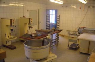 Immobilie mieten in 3314 Limbach, Lebensmittelverarbeitungsräume