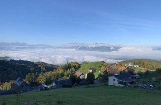 Wohnung kaufen in 6835 Dafins, Luxus mit sensationellem Panorama