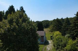 Grundstück zu kaufen in My Way, 2102 Hagenbrunn, Seltene Gelegenheit: Großgrundstück im Bezirk Korneuburg für Investoren und Bauträger! Preis auf Anfrage!