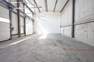 Büro zu mieten in 3425 Langenlebarn-Oberaigen, Produktionsfläche mit Büro bzw. Ausstellungsräume | ebenerdige Einfahrt durch drei Sektionaltore | Parkplätze & Luftwärmepumpe
