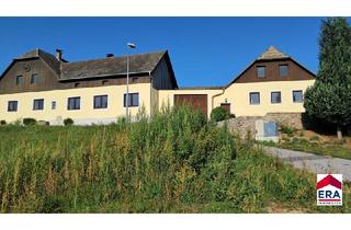 Bauernhäuser zu kaufen in 3911 Rappottenstein, RESERVIERT! Charmantes .:Bauernhaus:. in Merzenstein/Rappottenstein ? uneinsehbarer Vierkanthof bietet zahlreiche Möglichkeiten!