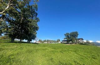 Grundstück zu kaufen in Kleinsöll, 6252 Breitenbach am Inn, BREITENBACH am INN - KLEINSÖLL/BERG - Baugrundstück mit Fernblick & Bergpanorama ca. 600 m²