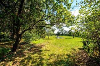 Grundstück zu kaufen in 2231 Strasshof an der Nordbahn, Teilbares Grundstück mit altem Haus - 2.380 m²