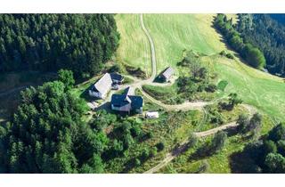 Gewerbeimmobilie kaufen in 9334 Verlosnitz, Idyllisches Anwesen in ALLEINLAGE mit Panoramablick im Guttaringer Bergland