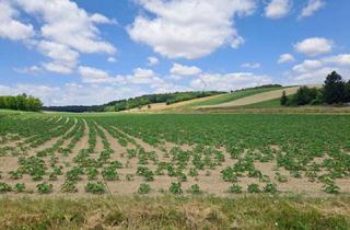 Gewerbeimmobilie kaufen in 2325 Himberg, Landwirtschaftliche Fläche in Himberg – 39.330 m². Kaufpreis auf Anfrage!