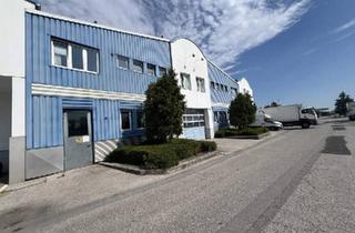 Büro zu mieten in 2620 Neunkirchen, Großzügige Lagerhalle mit vielseitig nutzbarem Bürotrakt in Neunkirchen