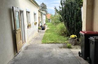 Haus kaufen in 7013 Klingenbach, Klingenbach - Gepflegter Streckhof mit uneinsehbaren Grund mit netter Scheune und div. Nebengebäuden!