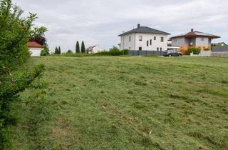 Grundstück zu kaufen in 7100 Neusiedl am See, Unbebautes Grundstück am Oberen Kirchberg in Neusiedl am See