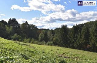 Grundstück zu kaufen in 8301 Laßnitzhöhe, Rastbühel – Wohnen am Stadtrand mit Blick ins Grüne