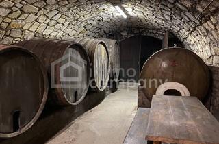 Bauernhäuser zu kaufen in 2425 Nickelsdorf, Traditionelles Bauernhaus mit historischem Weinkeller