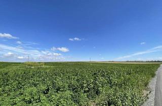 Gewerbeimmobilie kaufen in Hauptstraße, 2440 Moosbrunn, Rarität! Landwirtschaftliches Grundstück zwischen Moosbrunn und Gramatneusiedl– ca. 41.000 m² Ackerfläche zu verkaufen!