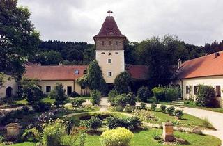 Wohnung kaufen in Primmersdorf, 2095 Primmersdorf, RARITÄT – Wohnung mit Garten im Schloss Primmersdorf an der Thaya