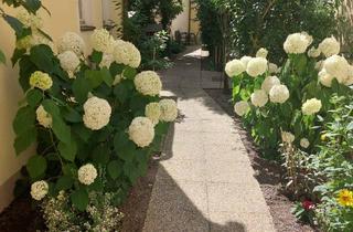 Wohnung mieten in Brodtischgasse, 2700 Wiener Neustadt, ALTBAUWOHNUNG DIREKT IM ZENTRUM!