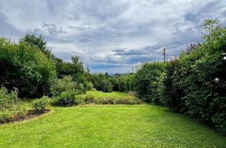 Grundstück zu kaufen in Am Meisenbühel, 1130 Wien, 13., Ober St. Veit / Am Meisenbühel - wunderschöne Parzelle(n) mit phänomenalem Wien-Blick