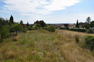 Grundstück zu kaufen in Schönweg, 2504 Sooß, BAUTRÄGER, 2 Wunderschöne, große Grundstücke in Sooß, RUHE, Schönweg 8