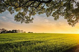 Grundstück zu kaufen in 9330 Althofen, 30.000 m² Bauerwartungsland in Top-Lage Treibach-Althofen – großes Investmentpotenzial!