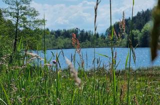 Grundstück zu kaufen in 9220 Velden, Saissersee: Baugrundstück in Seenähe