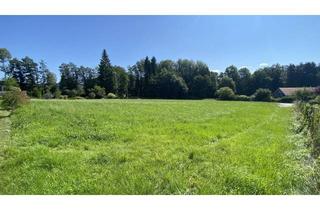 Grundstück zu kaufen in Birkenweg, 8733 Altendorf, St. Marein - Feistritz: Baugrundstück mit 736 m2 in sonniger Lage