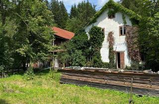 Bauernhäuser zu kaufen in 4272 Harrachstal, BAUERNHAUS MIT SCHÖNEM GARTEN IM MÜHLVIERTEL NÄHE WEITERSFELDEN