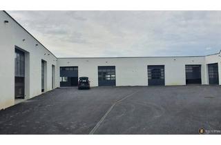 Gewerbeimmobilie mieten in 2601 Sollenau, Miethalle in Sollenau