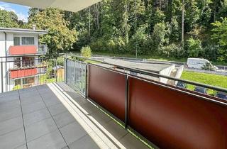 Wohnung mieten in Herzog-Park 114, 2823 Pitten, Wunderschön gelegene Wohnung mit großer Loggia