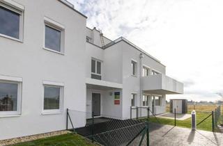 Wohnung mieten in Veilchengasse 12, 2274 Rabensburg, Schöne Dachterrassenwohnung in Rabensburg