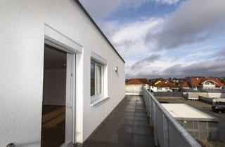 Wohnung mieten in Veilchengasse 12, 2274 Rabensburg, ERSTBEZUG: Helle Dachterrassenwohnung