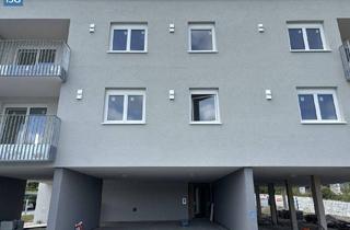 Wohnung mieten in Zellerstraße 17, 4730 Waizenkirchen, Bezugsfertig! 2-Zimmer Whg. im EG mit Carport, Top 6, Mietkauf - Erstbezug!