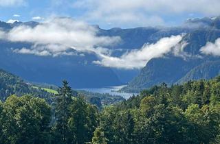 Haus kaufen in 4822 Bad Goisern, Charmantes Holzblockhaus mit Panoramablick auf Dachstein & Hallstättersee - ZWEITWOHNSITZ möglich