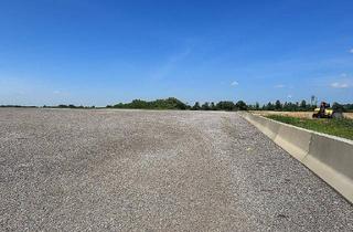 in 2202 Hagenbrunn, Große befestigte Freifläche zu mieten