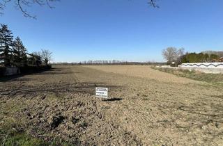 Grundstück zu kaufen in Pöttschinger Straße, 7201 Neudörfl, Baugrund am Ortsrand zu verkaufen