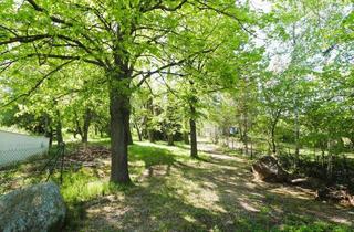 Grundstück zu kaufen in 2102 Hagenbrunn, Paradiesischer Baugrund! Hervorragende Lage in Hagenbrunn!