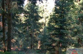 Gewerbeimmobilie kaufen in 4201 Gramastetten, Verkaufe schönen Wald mit ca. 2,23 Hektar Größe!