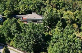 Villen zu kaufen in 7051 Großhöflein, PRIVATVERKAUF: Repräsentative Architektenvilla mit 3000m² Grund und unverbaubarem Fernblick am Südhang des Leithagebirges.
