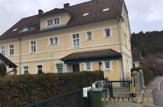 Einfamilienhaus kaufen in 2630 Ternitz, Zinshaus mit 6 Einheiten in vermieteter Bestandsstruktur