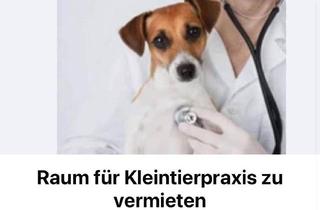 Immobilie mieten in 6850 Dornbirn, Tolle Fläche in Dornbirn zu vermieten: Ideal als Kleintierpraxis, Yogastudio, Tanzstudio, Büro...
