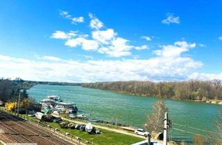 Einfamilienhaus kaufen in 3422 Greifenstein, Schönes Familienhaus mit ausgezeichnetem Ausblick auf die Donau