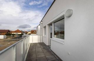 Wohnung mieten in Veilchengasse 12, 2274 Rabensburg, Südwestseitige Erstbezugswohnung mit Ausblick