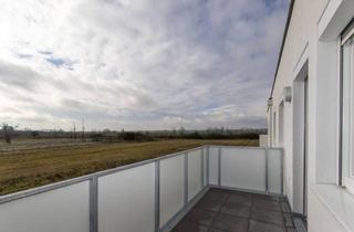 Wohnung mieten in Veilchengasse 12, 2274 Rabensburg, Schöne Erstbezugswohnung mit südseitigen Balkon