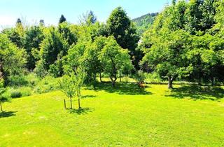 Villen zu kaufen in Wiener Neustadt, 2824 Seebenstein, Modernisierte Prachtvilla mit traumhaften Garten und Blick auf die Burg Seebenstein - Preis auf Anfrage