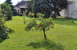 Einfamilienhaus kaufen in 7011 Siegendorf, Einfamilienhaus auf großem Grundstück in Siegendorf! Teilweise Sanierungsbedarf!