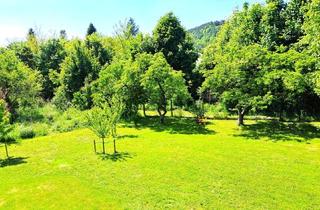 Villen zu kaufen in Wiener Neustadt, 2824 Seebenstein, Modernisierte Prachtvilla mit traumhaften Garten und Blick auf die Burg Seebenstein - Preis auf Anfrage